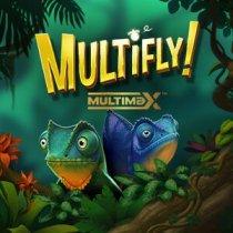 MultiFly!